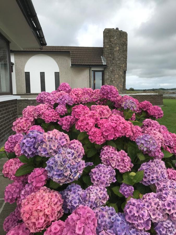 Castlepoint Villa Strangford Exterior foto